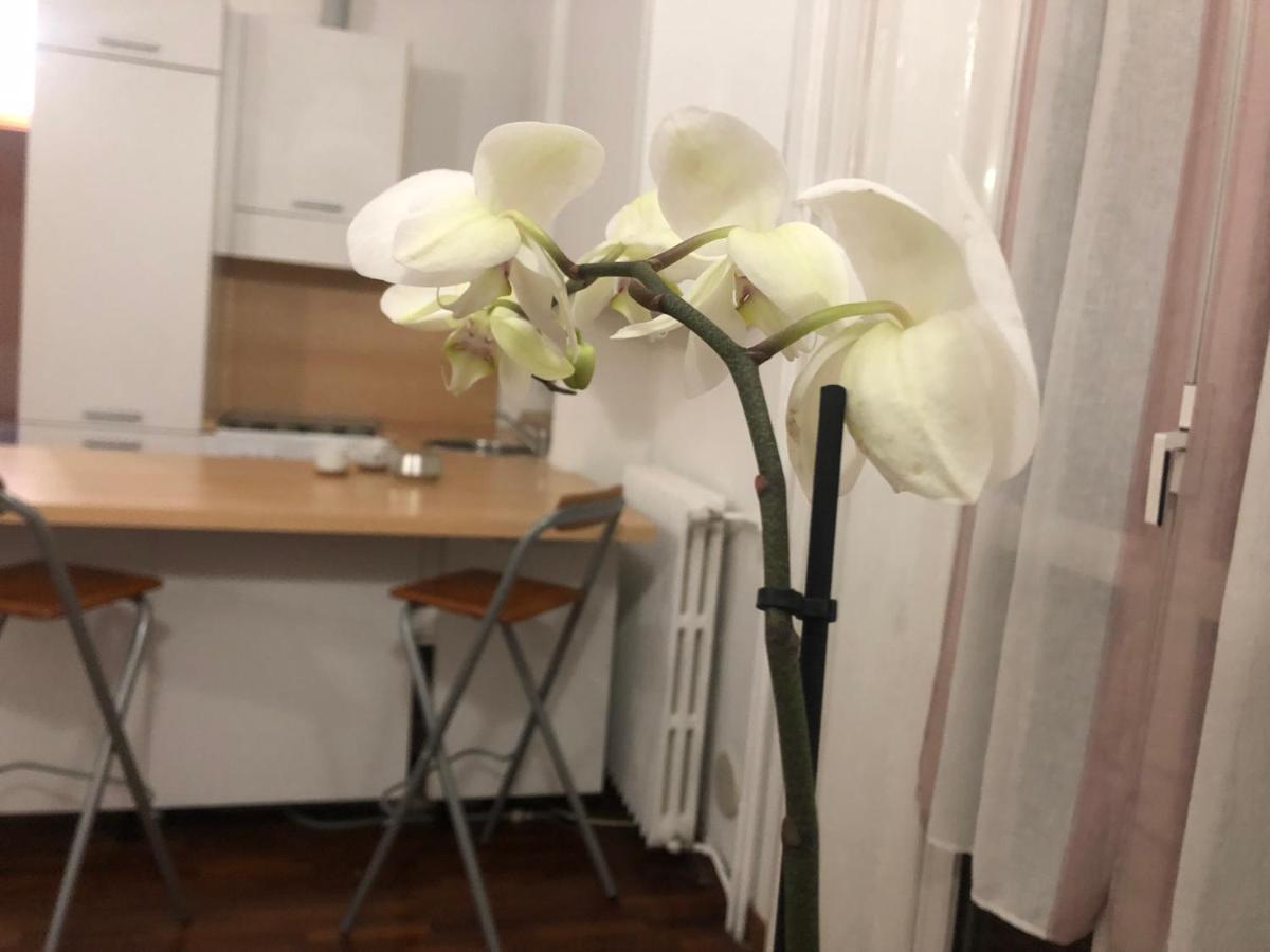 Romantica Darsena 밀라노 외부 사진